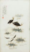 A set of four Chinese porcelain plaques Each decorated with fish and calligraphy,