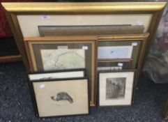 A quantity of prints, including a map of Cambridge, etc.