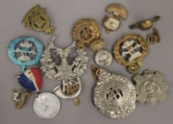 A quantity of military badges, etc.