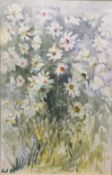 Daisies, watercolour, signed with initials,