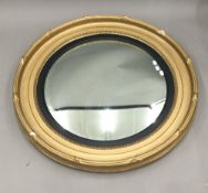 A large 19th century gilt framed wall glass, the circular plate convex,