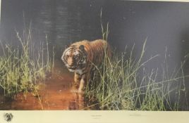 DAVID SHEPHERD OBE, Jungle Gentleman, limited edition print,