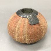 A match holder/striker formed from a sea urchin