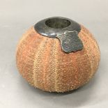 A match holder/striker formed from a sea urchin