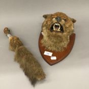 A taxidermy fox mask,