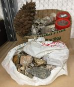 A collection of shells, fossils, mineral specimens, etc.