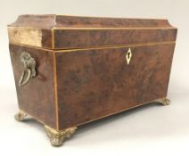 A George III burr yew wood sarcophagus form tea caddy