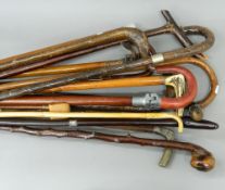 A quantity of walking sticks and canes,