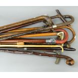 A quantity of walking sticks and canes,