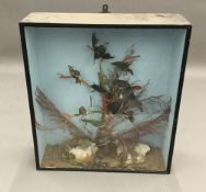 A case of taxidermy birds