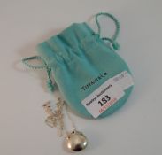 A Tiffany & Co Paloma Picasso silver pendant on chain