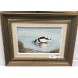 ROGER FISHER, Ducks and Flamingos, a pair of oils on board,