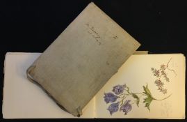 J MURRAY (early 20th century) British Two sketch books containing watercolours of botanical
