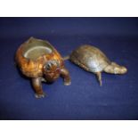 Taxidermy study of a Terrapin in the form of a ashtray and another of a tortoise (2)