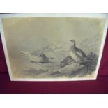 Unusual monochrome picture by Archibald Thorburn (45cm x 32cm)