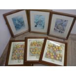 Set of 3 prints of birds after Basil Ede in matching frames, and a set of 3 still life prints of