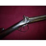 Percussion cap double barrelled shotgun by Samuel Nock circa 1835, with 29 1/2 inch barrels, back