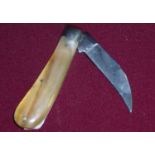 Sheffield made folding 2 1/2 inch semi pruning bladed knife with two piece cow horn grips