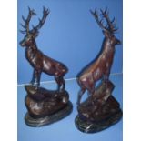 Large pair of bronze Stags on rock outcrop mounted on oval stepped marble bases (height 75cm)