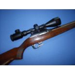 Ruger Model 10/22 carbine .22lr semi auto rifle fitted with sound moderator and Richter Optik 3-