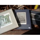 Three framed and mounted limited edition signed lithographs of various subjects