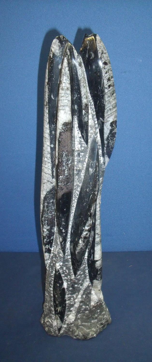 Large fossilised group of Belemnites (53cm high)