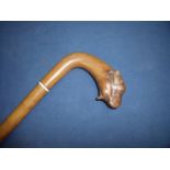 Edwardian walking stick, the handle carved with figure of bulldogs head with inset glass eyes and