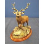 Border Fine Arts figure 'British Mammals' A1485 Red Stag (height 23cm)