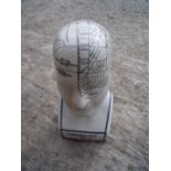 Small reproduction ceramic Phrenology head (24cm high)