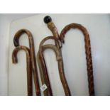 Collection of various assorted walking sticks, one with silver mounts