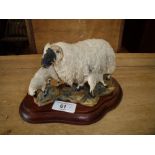 Border Fine Arts figure of a Swaledale ewe and lambs