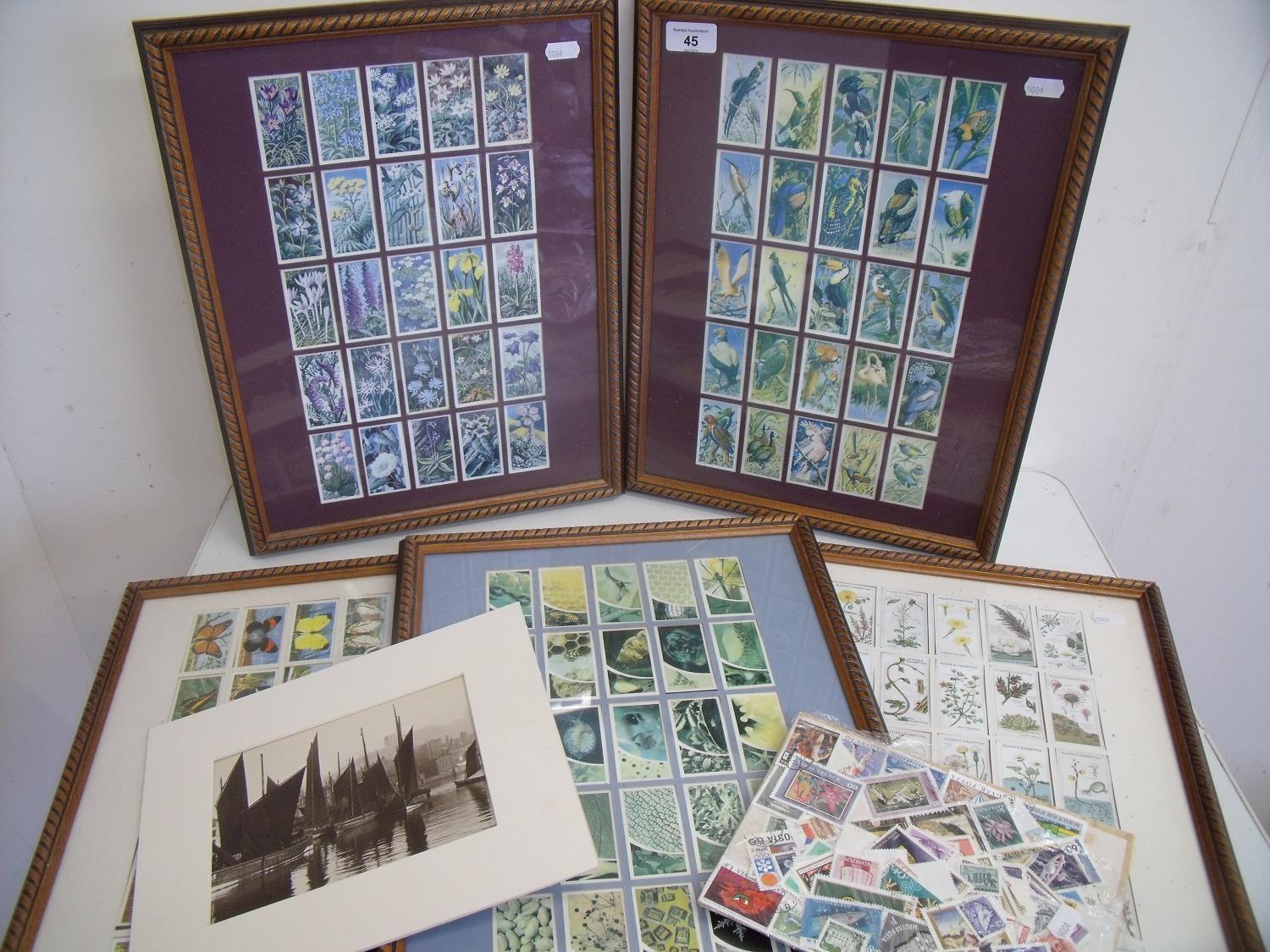 Set of five framed and mounted cigarette cards depicting birds, flowers, butterflies etc and a