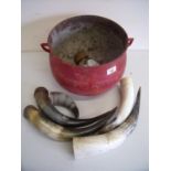 Cast metal cauldron/cook pot and a selection of various cow horns