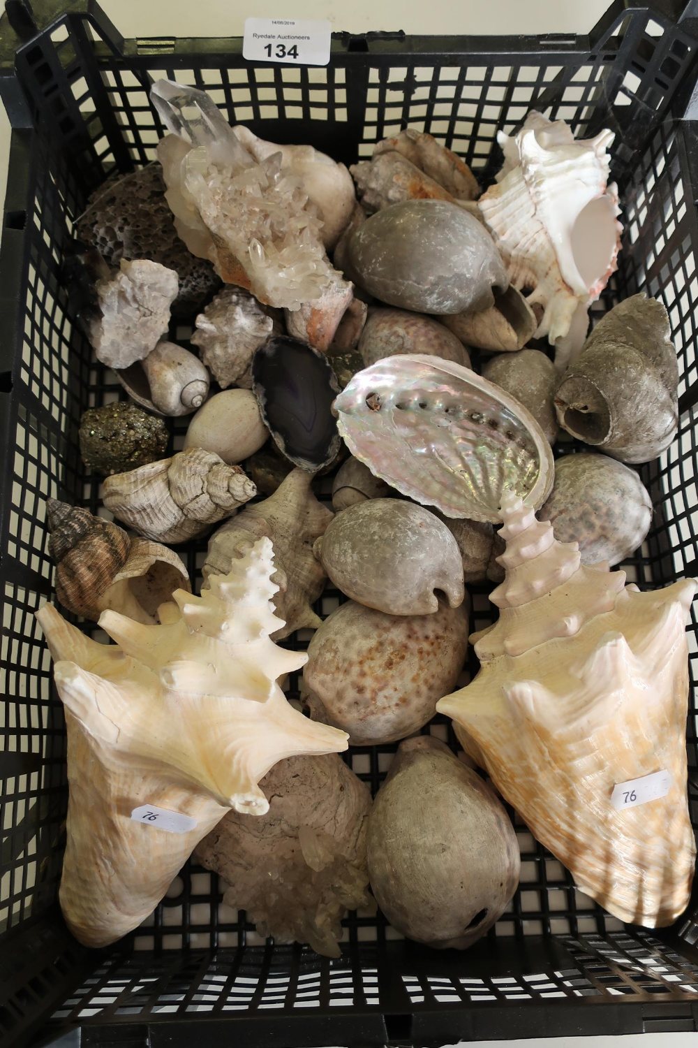 Quantity of various assorted shells, minerals etc