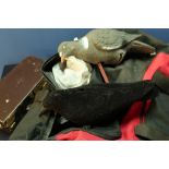Lock case and a selection of various pigeon and rook/crow decoys