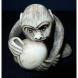 Edo period Japanese Netsuke of a gorilla grappling with coconut, signed to the base of the nut (