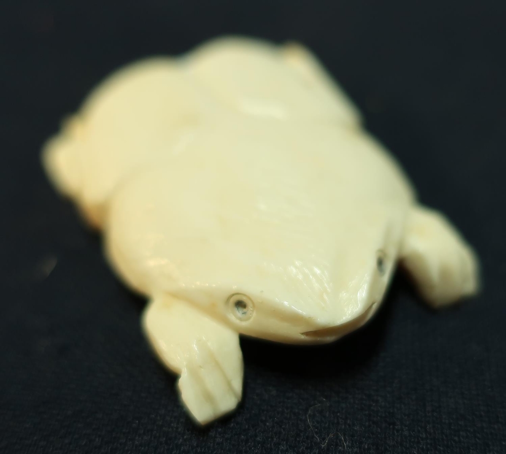 Japanese carved ivory figure of a flattened frog