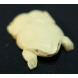 Japanese carved ivory figure of a flattened frog