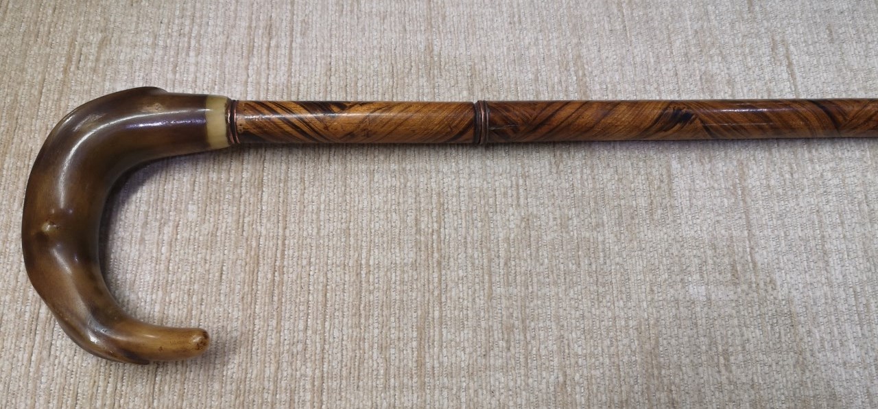 Walking cane with unusual horn handle