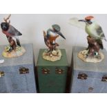 Three boxed Royal Crown Derby bird figures including Bullfinch by L. Payne, Woodpecker and