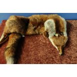 Fox skin ladies stole