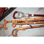 Shooting stick and a section of walking sticks/canes