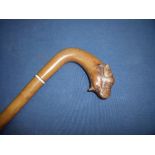 Edwardian walking stick, the handle carved with figure of bulldogs head with inset glass eyes and