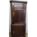 Oak free standing corner cupboard with upper panelled cupboard door above further panelled door to