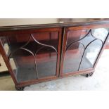 Early - mid 20th C mahogany cabinet enclosed by two glazed doors (134cm x 38cm x 105cm)