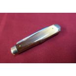 William Rogers of Sheffield vintage twin bladed pocket knife with polished horn grips