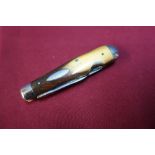 Vintage two bladed pocket knife by E.Gillott and Son Nottingham with two piece horn grips