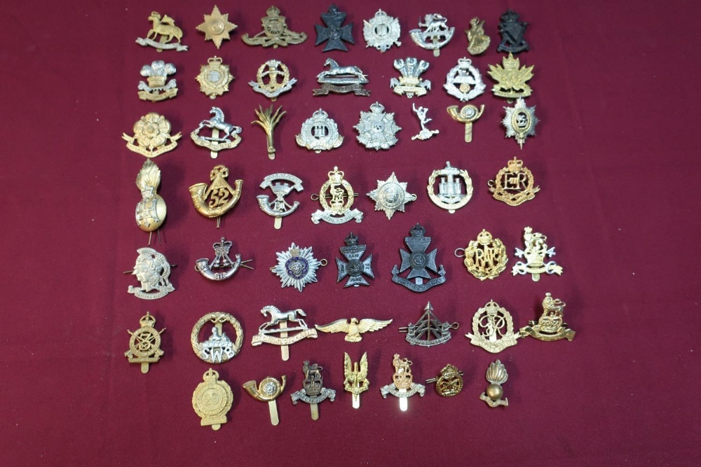 Box containing approximately fifty various assorted British, Canadian and other military cap badges