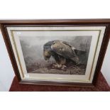 Framed and mounted auto type coloured Archibald Thorburn print of bird of prey with prey (65cm x