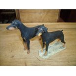 Boxed Border Fine Arts figure of a Dobermann and another similar figure (2)